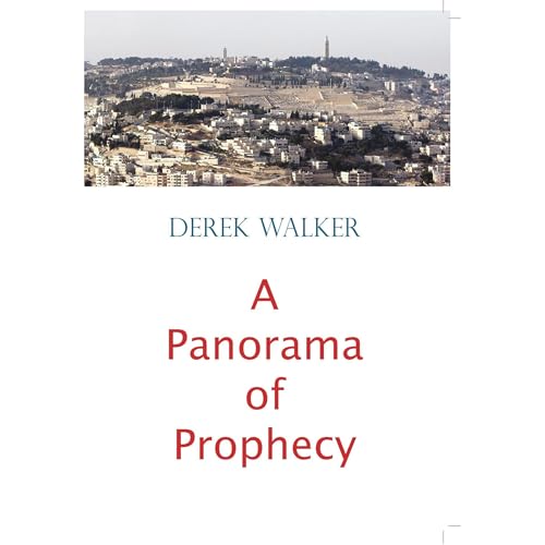 A Panorama of Prophecy Audiolibro Por Derek Walker arte de portada