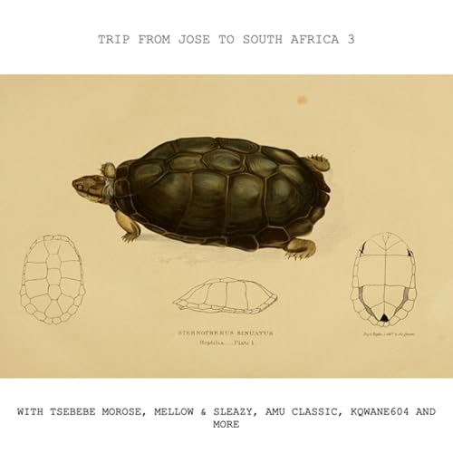 Trip from Jose to South Africa 3 with Tsebebe Morose, Mellow & Sleazy, Amu Classic, KQwane604 and more