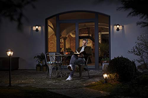 Ledvance Endura Classic Tradition Alu 1000 E27