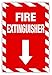 The Sign Studio â€“ 5 Pack of â€“ 4â€X6 - Safety Decals- Fire Extinguisher (Vertical) Labelâ€