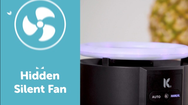 Katchy Duo – Indoor Flying Insect Trap with Scent Pod – Day & Night Effective – Mosquito, Fruit Fly, Gnat & Small Moth Catcher – Non-Zapper Trap with Blue UV Light & Fan Suction (Black)