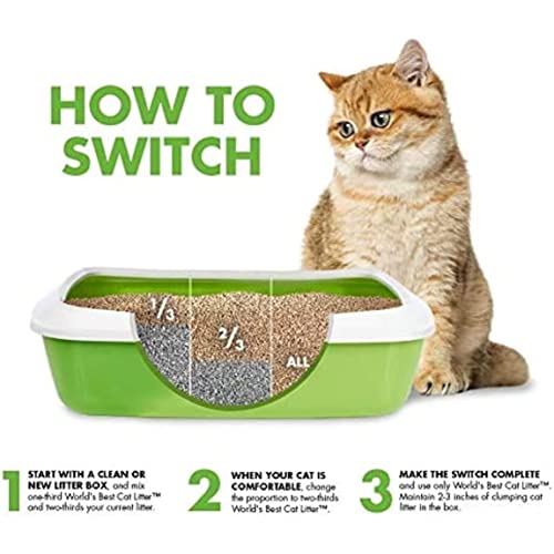 World's Best Cat Litter Multiple Cat Lavender Scented, 32-Pounds #TOP7