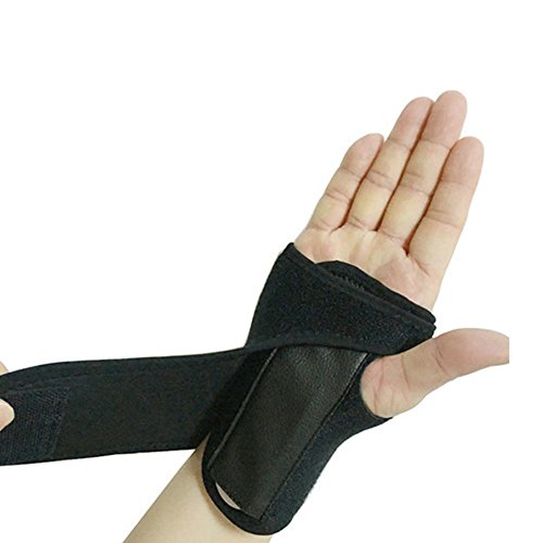 Littleliving T|[^[ v[gŎ̌Œ 싅EStEejX (E)