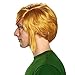 Disguise Men's Link Adult Wig