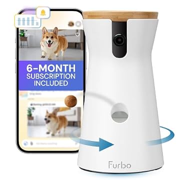 14 Best Pet Cameras Under $150, Compared