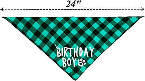 Birthday Boy Dog Bandana Green #TOP1
