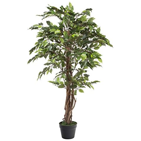 Closer2Nature 3ft Artificial Plant Green Weeping Fig Plant; Fake Artificial Weeping Tree, Indoor Fig Tree with Twisted Stem - Perfect for Home, Kitchen, Lounge and Office Cover