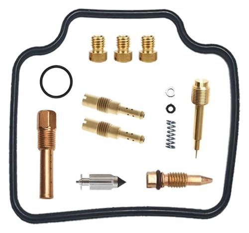 Réparation de carburateur Foresight 250 kit complet avec diaphragme et flotteur FES250 1997-2005