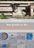  Was gehört in die Hundehausaportheke: Erste Hilfe für den Hund