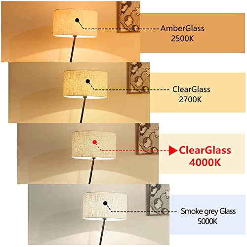 St19(St58) 4.5W Vintage Edison Led Bulb, Neutral White 4000K, Antique Flexible Spiral Led Filament Light Bulb, Dimmable 450Lm, 4.5W Equivalent To 50W, E26 Medium Base, Clear Glass(4.5W-4000K-6 Pack) #TOP4