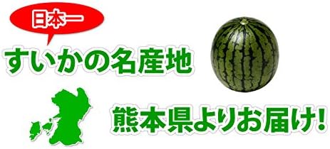 すいか 小玉すいか ひとりじめ 秀品2玉 約3kg 熊本県産 スイカ 西瓜 フルーツ お取り寄せ