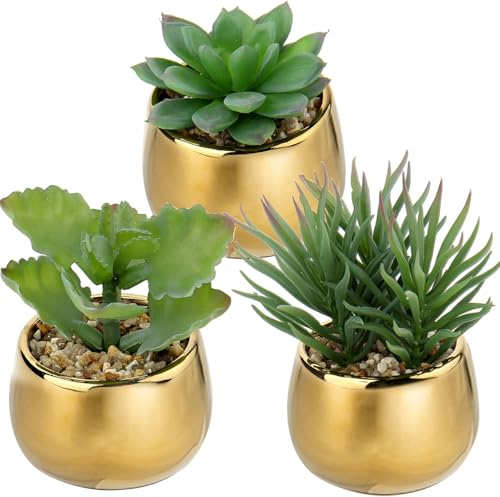 Villa Como tFCNO[ CeAO[ AGx lH ϗtA A  A ^ GAvc NX}X ItBX X    (3, 12CM)