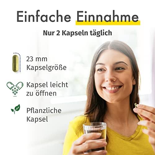 Rutin & Steinklee - deutsche Herstellung – 100% Vegan & Ohne Zusätze - Vorrat für 3 Monate - Image 4