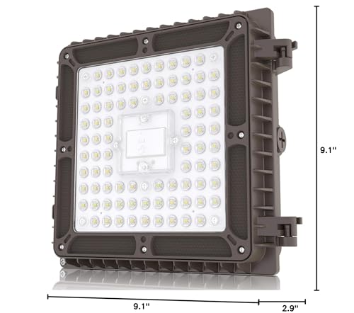 HYPERLITE LED Canopy Light 45W,LED Canopy Lights 5840LM 4000K Warm Lighting,UL Certified Commercial Canopy Light for Workshop,Garage,Carport,Shop,Barn,Walkway,Building Entrance