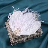 Fashey Peacock Feather Hair Clips Flapper Feather Headpiece 1920s Headpiece Great Gatsby Headband Pe