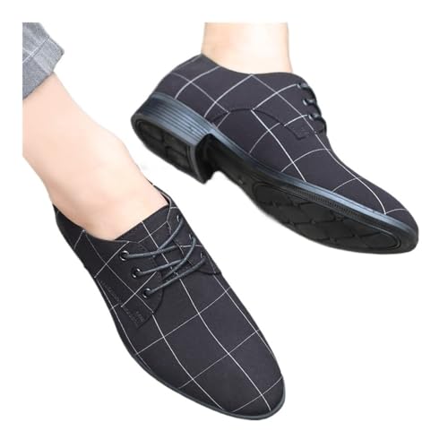 Summer Cloth Shoes Men's Large Size Casual Shoes Breathable Pointed Toe Canvas Shoes Men's Shoes Oxfords(Black,10)
