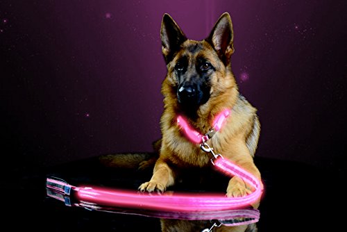 Pet Industries Premium LED Reflective Dog Leash, USB Rechargeable, Available in 6 Colors(Cherry Blossom Pink)