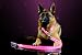 Premium LED Reflective Dog Leash, USB Rechargeable, Available in 6 colors(Cherry Blossom Pink)