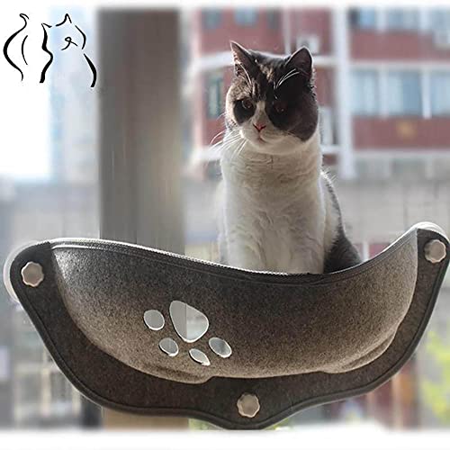 Hamac confortable pour chat suspendu solide contre le manque de place