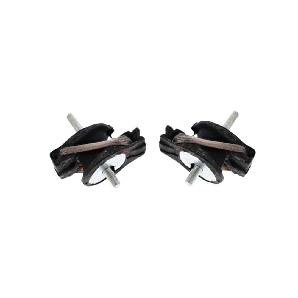 Engine Transmission Mount 22316796617 Compatible with BMW F20 F22 F30 F32 F34 F35 F36 320i 330i 328i 228i 428i 230i 430i(2PCS)