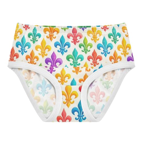 Joisal Colorful Fleur De Lis White Girls Underwear Toddlers 2t Cotton Panties Little Girl Aesthetic Undies Kids Briefs