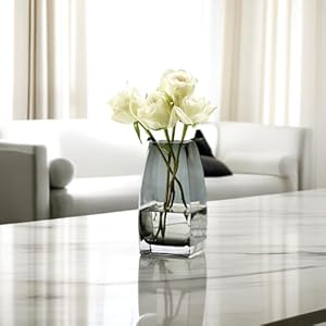 Tall Black Grey Glass Flower Vase,Large Black Grey Vases Home Decor,Modern Bud Gray Vase for Centerpieces,Table Top,Room Decor,Crystal Decorative Unique Flower Vases for Bouquet,Gift Tall Black Grey Glass Flower VaseLarge Black Grey Vases Home DecorModern Bud Gray Vase for CenterpiecesTable TopRoom DecorCrystal Decorative Unique Flower Vases for BouquetGift