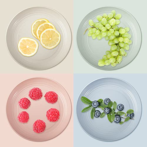 La Mejor review de Platos de loza precios que puedes comprar esta semana. 12 La Mejor review de Platos de loza precios que puedes comprar esta semana. 12
