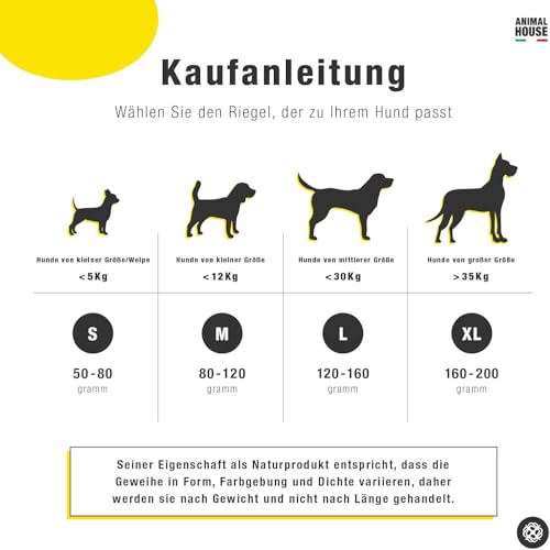 Animal House – Damhirschgeweih für Hunde – 100% natürlicher Kausnack – Stärkt die Mundhygiene – Widerstandsfähig und langlebig – In Allen Größen erhältlich (XL)