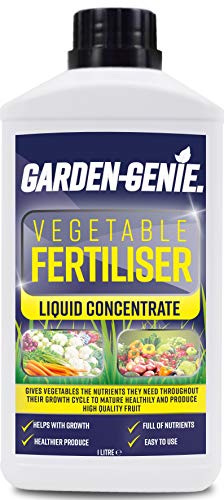 British Basics Encourages Strong, Healthy Growth