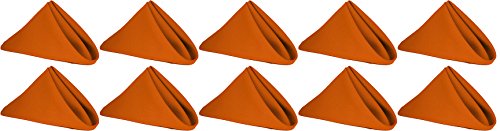 Servilletas cuadradas de poliéster 17x17 pulgadas x10 miniatura 1