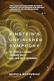 Einstein's Unfinished Symphony: The Story of a Gamble, Two Black Holes, and a New Age of Astronomy