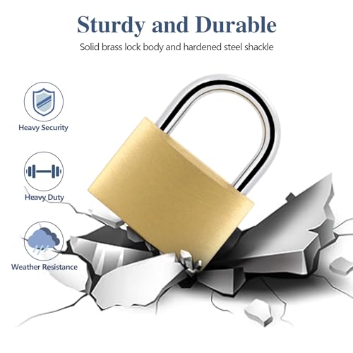 Image of BRAXE 2 Pcs Keyed Padlock with 3 Same Keys Waterproof Small Solid Brass Lock 1-9 /16 inch 40mm for Gym Locker Case Backpack Luggage Hasp Storage Sheds Fence Toolbox