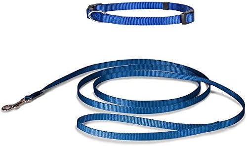 ARPSTAR Dog Leash Collar Set, 3/8 inch 6ft Blue Strong Durable Lightweight Leash Collar Set with Bolt Snap for Small Dog Cat