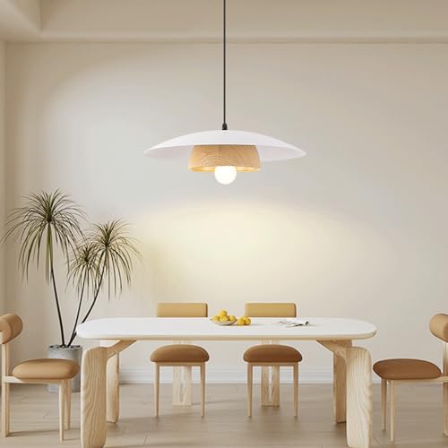 Suspension simple E27 avec abat-jour métallique orienté pour éclairage ciblé - 4