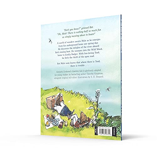 Wind in the Willows anniversary gift picture book: The ultimate illustrated picture book adaptation - with iconic original artwork from E. H. Shepard - Image 9