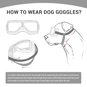 Dog-Goggles-Large-Breed-Large-Dog-Sunglasses-Eye-Protection-for-Dogs-Windproof-Goggles-for-Medium-Large-Dog-Riding-Biking-Driving - Cucciolini Doodles   Dog-Goggles-Large-Breed-Large-Dog-Sunglasses-Eye-Protection-for-Dogs-Windproof-Goggles-for-Medium-Large-Dog-Riding-Biking-Driving