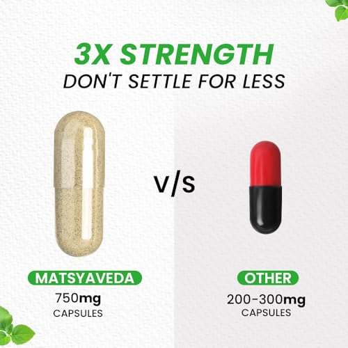 Image of Matsyaveda Ashwagandha Capsules | Supports Immunity, Stress Management & Daily Energy | Pure Ayurvedic Supplement | Pack of 1 X 60 Capsules
