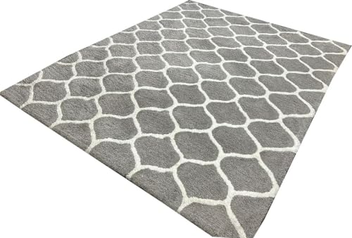 Image of Carpet for Living Room 5X7 FEET Modern Soft Shaggy Carpet Thick, Fluffy & 2 inch Pile Shag Rug for Your Kids Room, Bedroom & Livingroom (Ivory x)