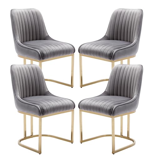 Chairus Juego De 4 Sillas De Comedor Terciopelo Sillas Cocina Modernas Con Patas Doradas, Sillas Restautante Elegante Sin Brazos Para Salón Cafetería Recepción, Gris Chairus Juego De 4 Sillas De Comedor Terciopelo Sillas Cocina Modernas Con Patas Doradas, Sillas Restautante Elegante Sin Brazos Para Salón Cafetería Recepción, Gris