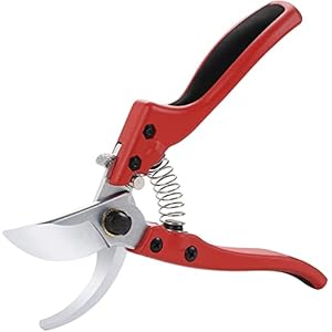 Professionele tuin snoeit scharen, tak snoeiende scharen, ergonomisch ontworpen lente for snoeien, scherp…