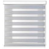 Tenda a Rullo per Interni Doppio Strato con Cassonetto e Catenella, Adatto a Finestra/Porta Finestra, Regolazione Luce e Privacy (Grigio001, 80x300)