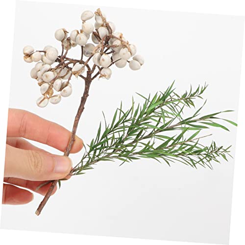 Material de flores secas artesanales para manualidades miniatura 4