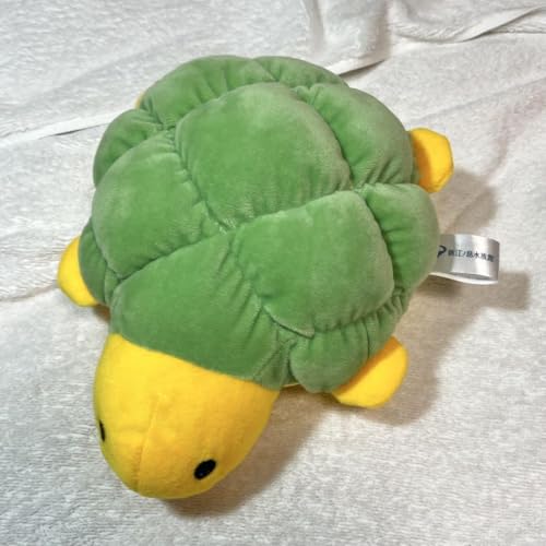 新江ノ島水族館 カメ ぬいぐるみ