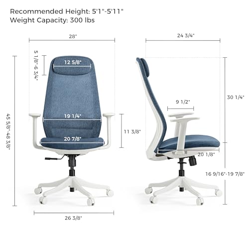 Image of EUREKA ERGONOMIC Skylar-Lite Mesh Office Chair Blue, Ergonomic Office Desk Chair with Adjustable Headrest, Home Office Desk Chairs with Adjustable Lumbar Support