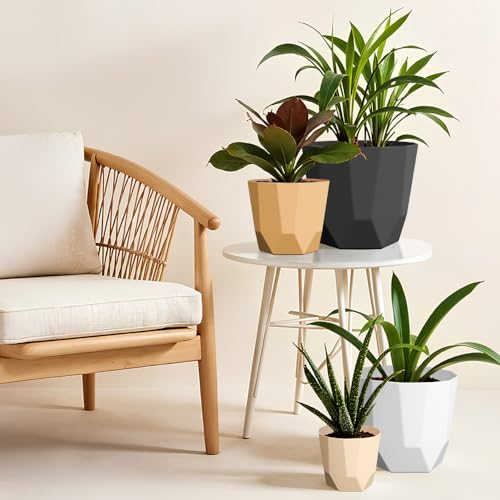 Image of YUCCABE ITALIA SHERA Hexa Plastic Planter Pot for Plants | Decorative Flower Pot | UV Protected Lightweight Indoor Outdoor Gamla for Home Decor, Balcony, Garden & Living Room