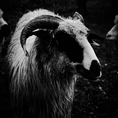 Play The Goat Movie (God and Me) by likara miwa on Amazon Music