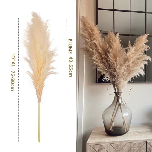 Pampas grande 80cm decorativo 5 unidades miniatura 6
