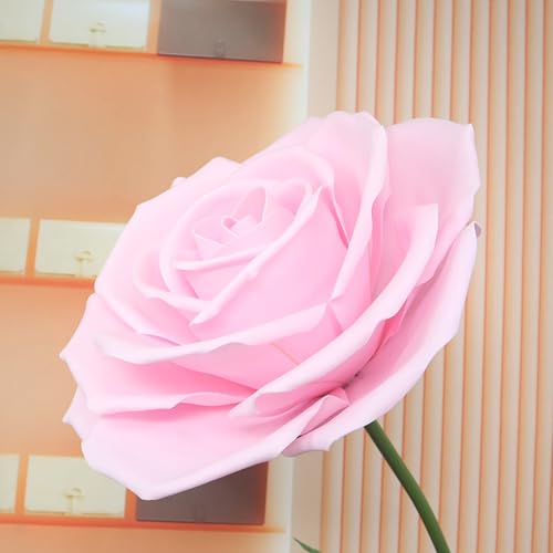 HGJH o tFCNt[ lHϗtA  ^ AȎ p ͗lւ y Ԃɍʂ rO J[5 JtF  50CM ItBX Xܑ CeA sv 呢