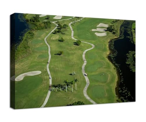 chenchenArt Florida Community Golf Course Wall Art for Living Room Bedroom Bathroom Home Decorations Golf Course Picture Poster Canvas Prints Modern Artwork Framed Ready to Hang(18''H x 24''W)