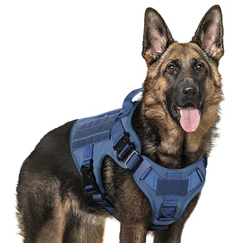 rabbitgoo Tactical No Pull Dog Harness Medium Large Dog with Metal Buckles MOLLE Panel, Breathable Service Pet Vest with Handle, Military Matierial Puppy Harness for Training Walking, L, Blue